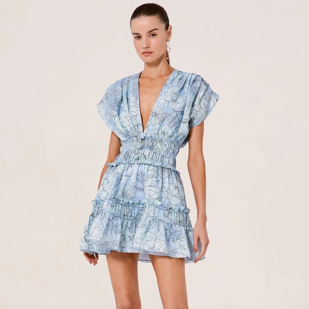 Alexis Ruth Dress